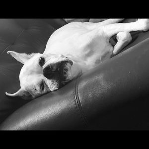 Meet your Posher, Jeanie